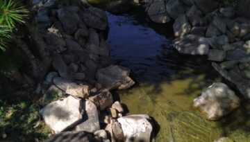 IMG_20240730_103553